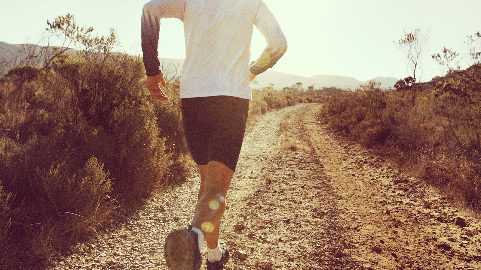 Avalon Benefit 50 Mile Run Results Leaderboard